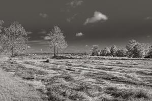 Revolutionary War battlefield